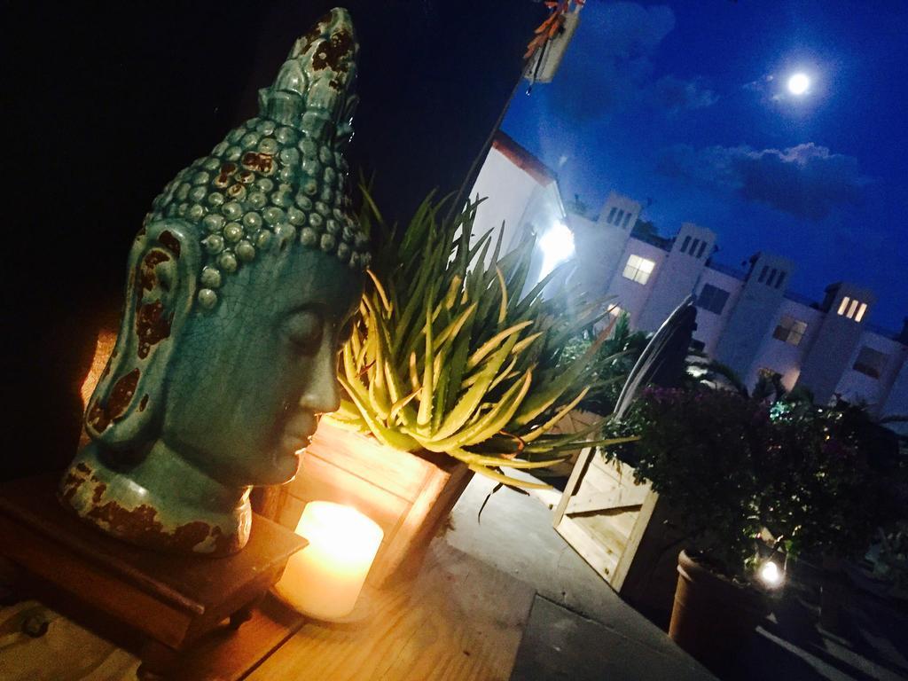 Oasis Hotel Fort Lauderdale Luaran gambar